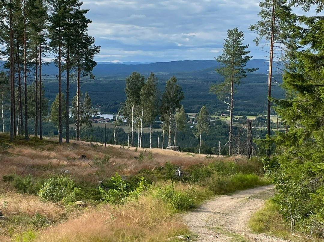 Utsiktstornet Mejdåsen-Bjorbo必去景点