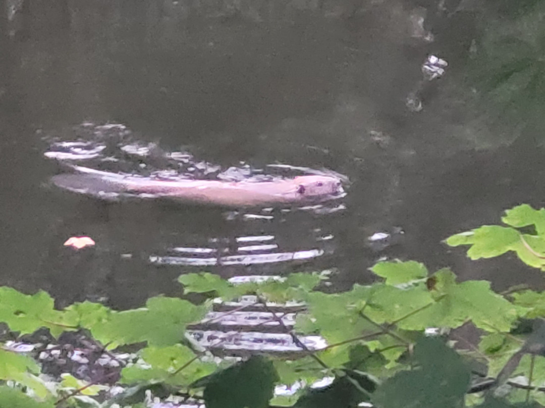 Perthshire Wildlife-Blairgowrie必去景点