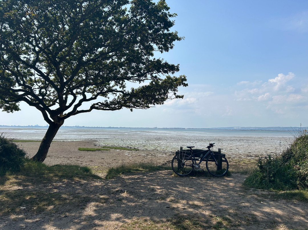Hayling Billy Trail景点图片