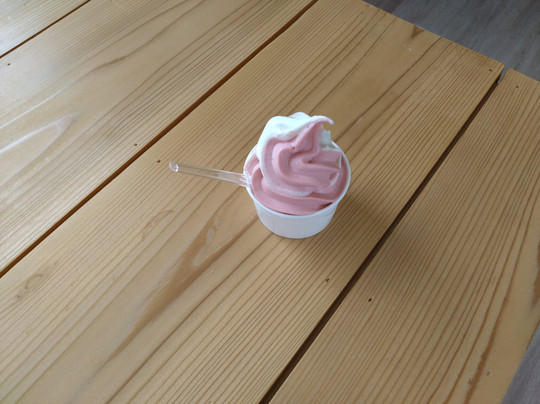 Fukko Koryu-kan Azeria-双叶郡必去景点