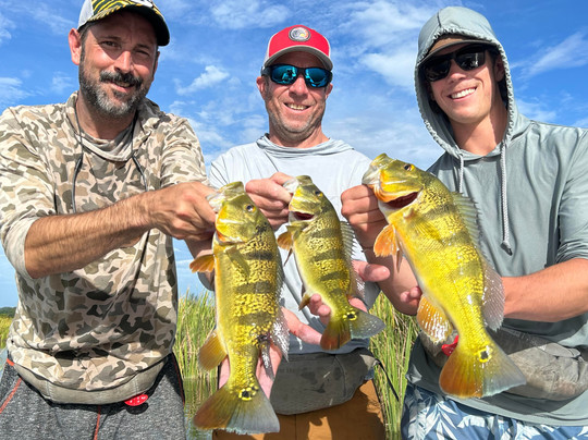 Peacock Bass and Tarpon Tours-圣胡安必去景点