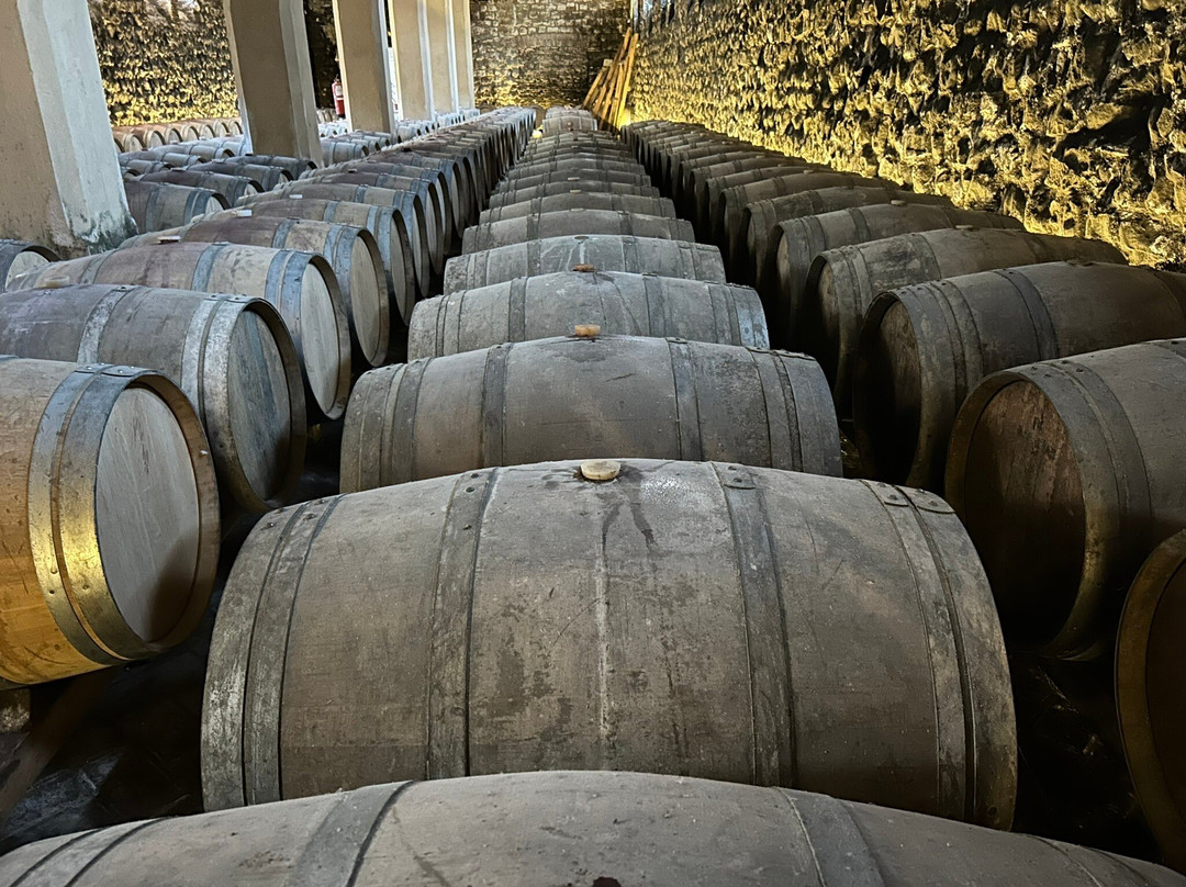 Bodegas Marques de Montecierzo-Castejon必去景点