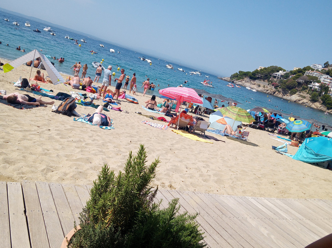 Plage Canyelles Petites景点图片