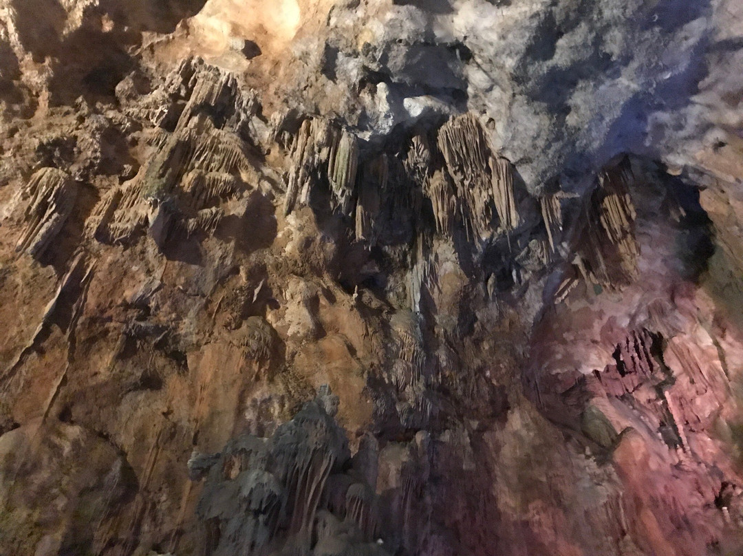 Cueva Del Canelobre景点图片