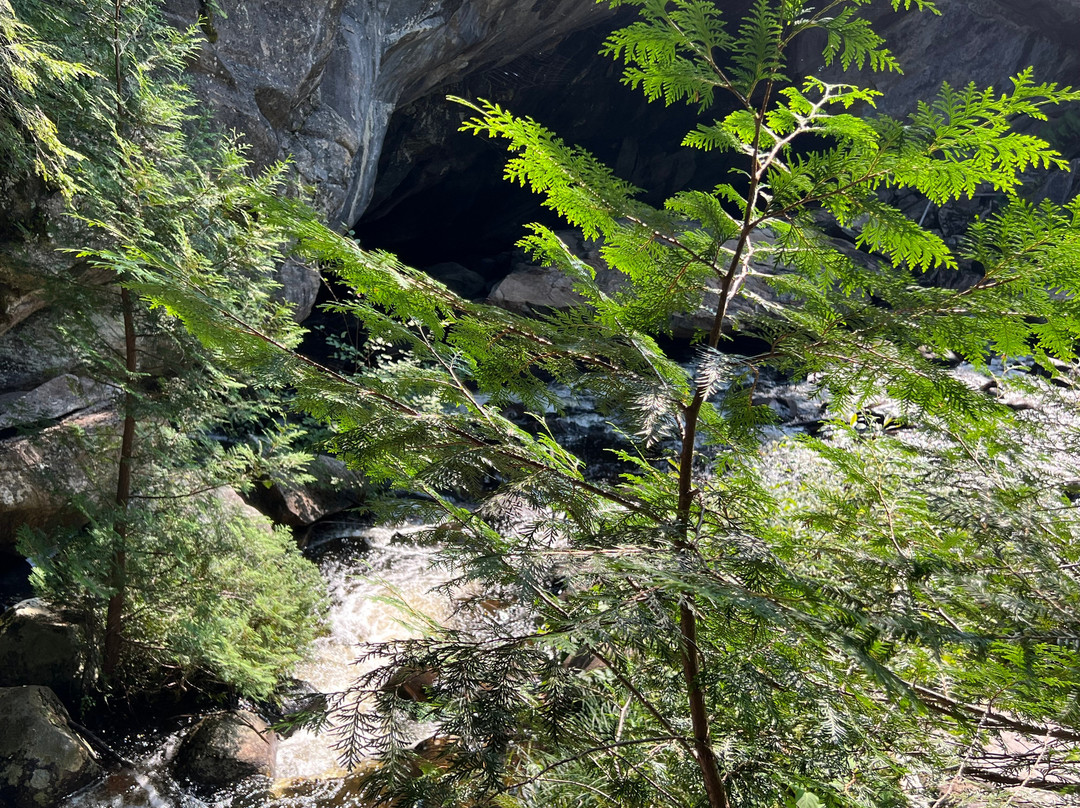 Natural Stone Bridge and Caves景点图片