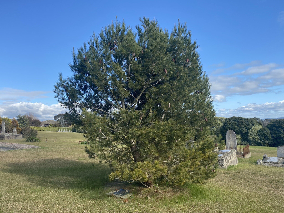 Moe Memorial Park Cemetery景点图片
