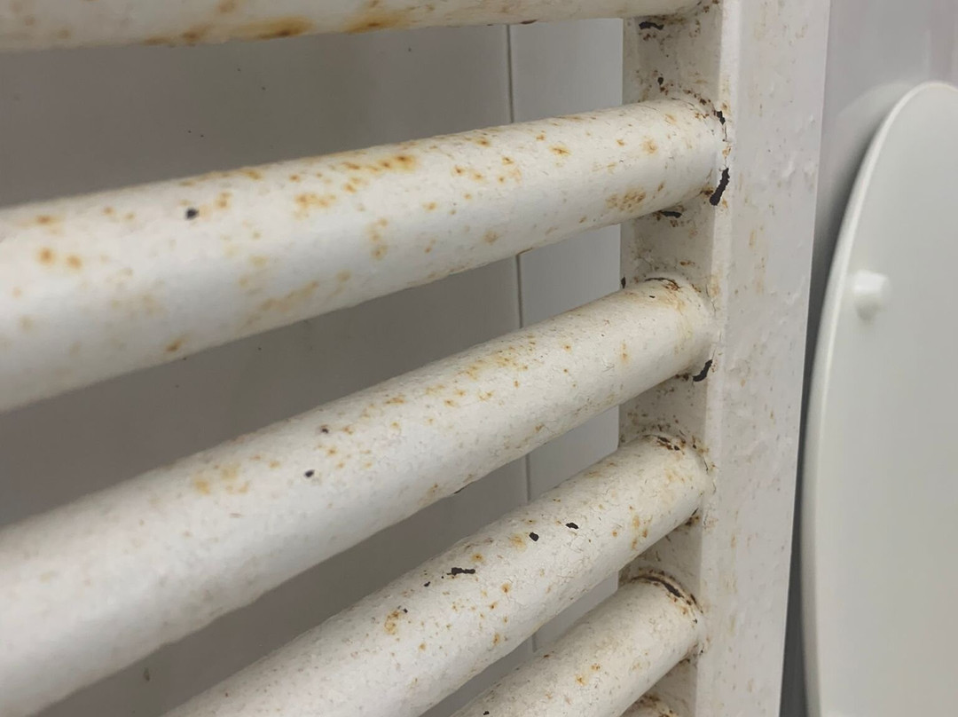 Hotel Mercede 2.0主图