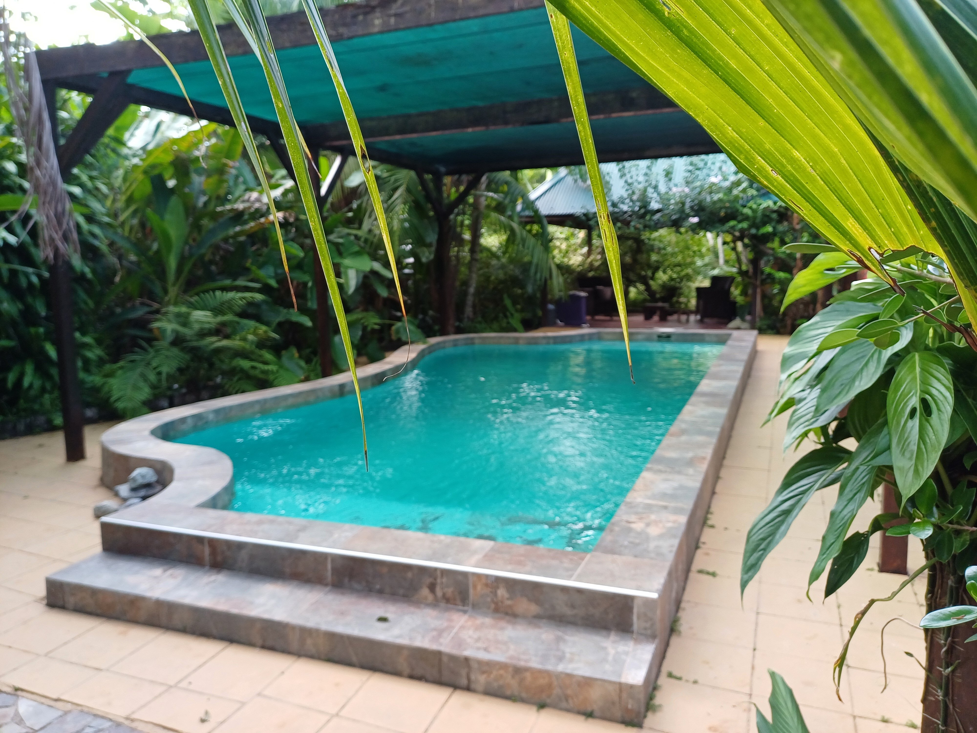 Guesthouse Little Paradise-泳池