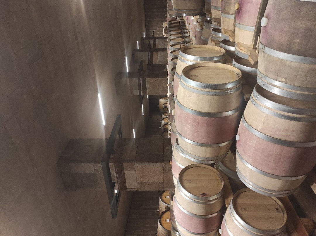 Kellerei Cantina Terlan-Terlano必去景点