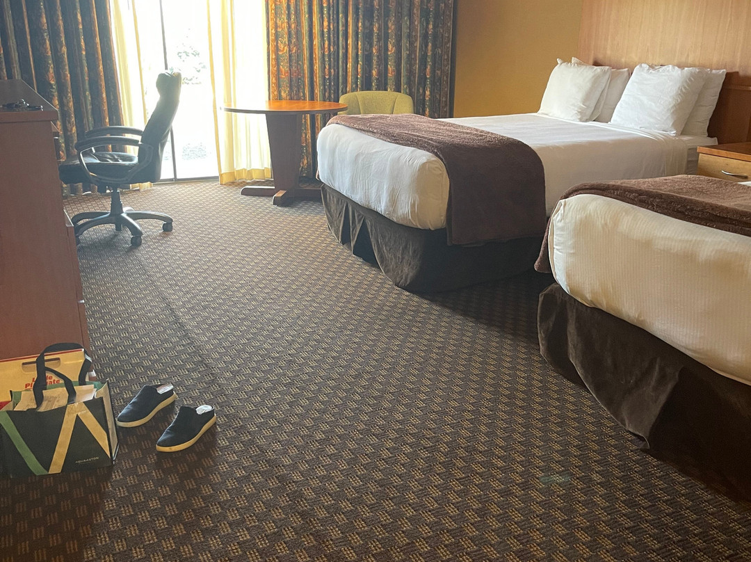 Mirabeau Park Hotel & Convention Center主图