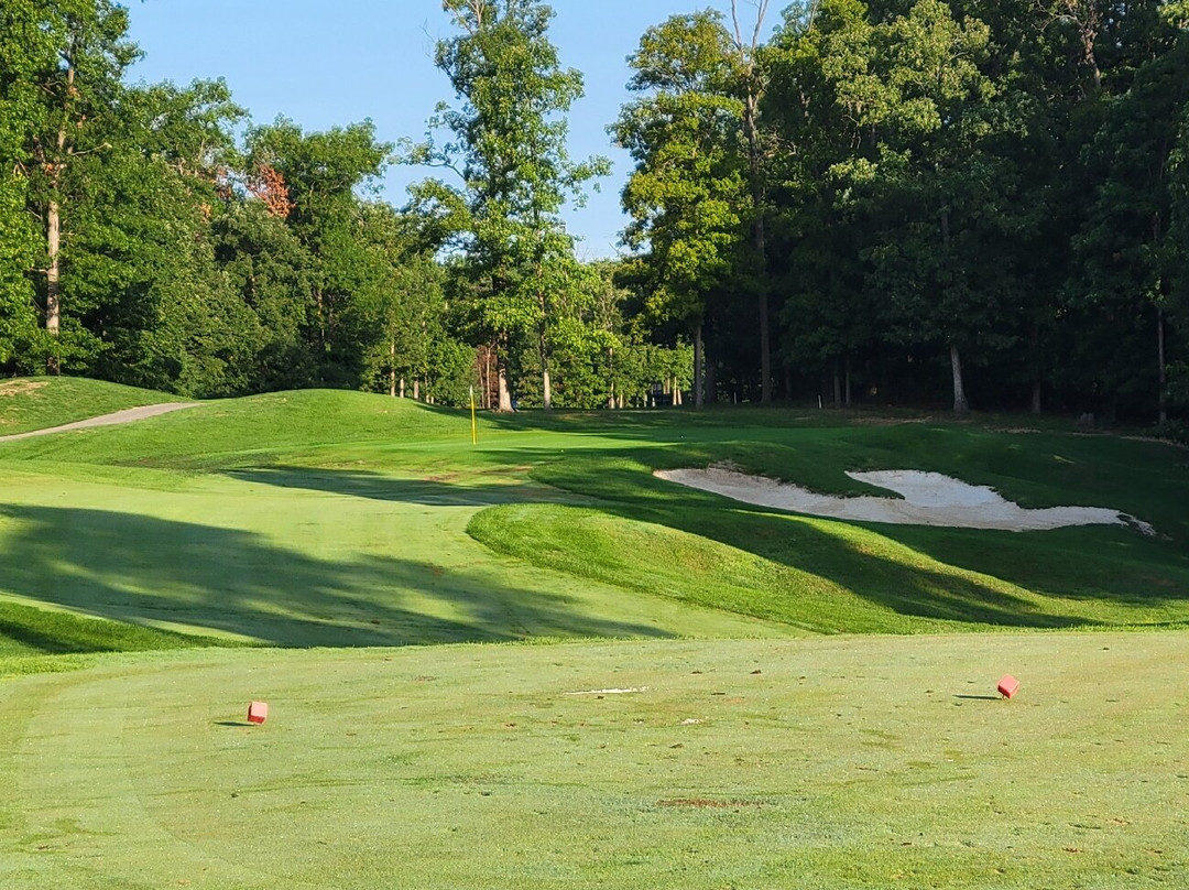 Blue Ridge Shadows Golf Club景点图片