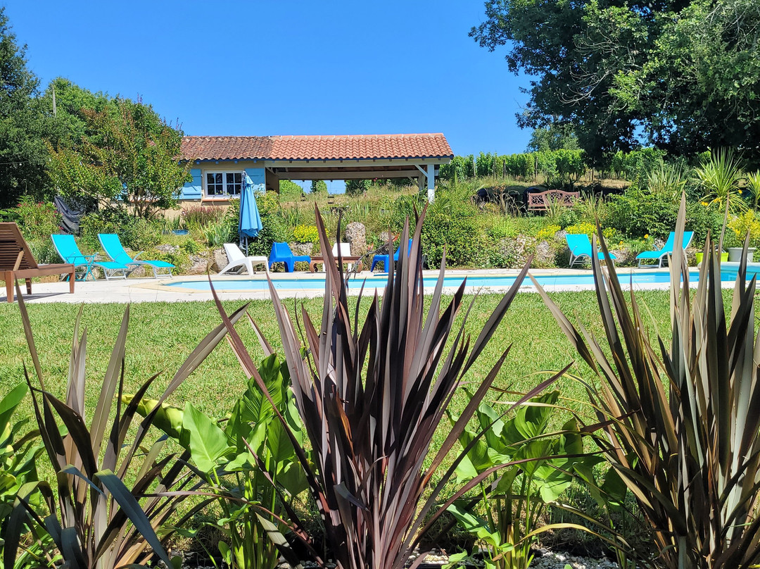 Au Petit Bernerot - Les Gîtes de l'Arbre du Voyageur主图