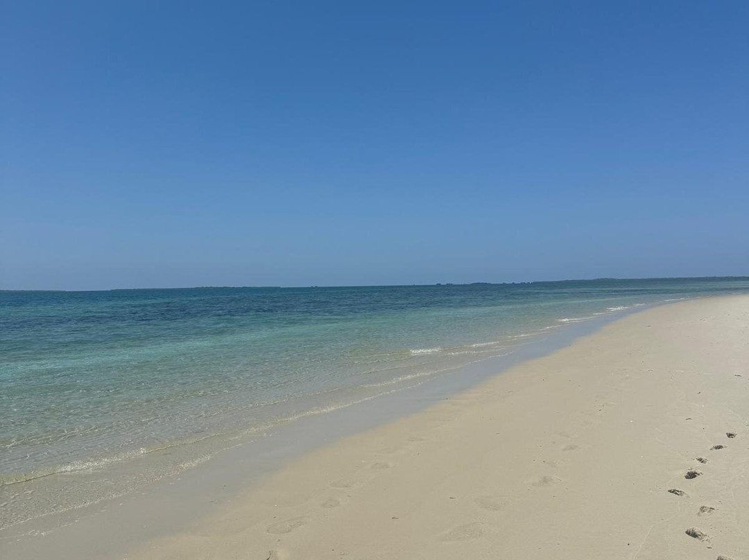 Reef Tour Mafia Island景点图片