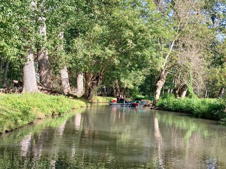 Embarcadere Cardinaud - Marais poitevin景点图片