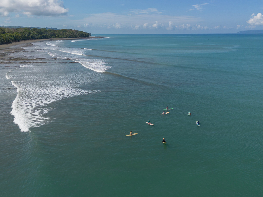 Surf With Amigas - Costa Rica景点图片