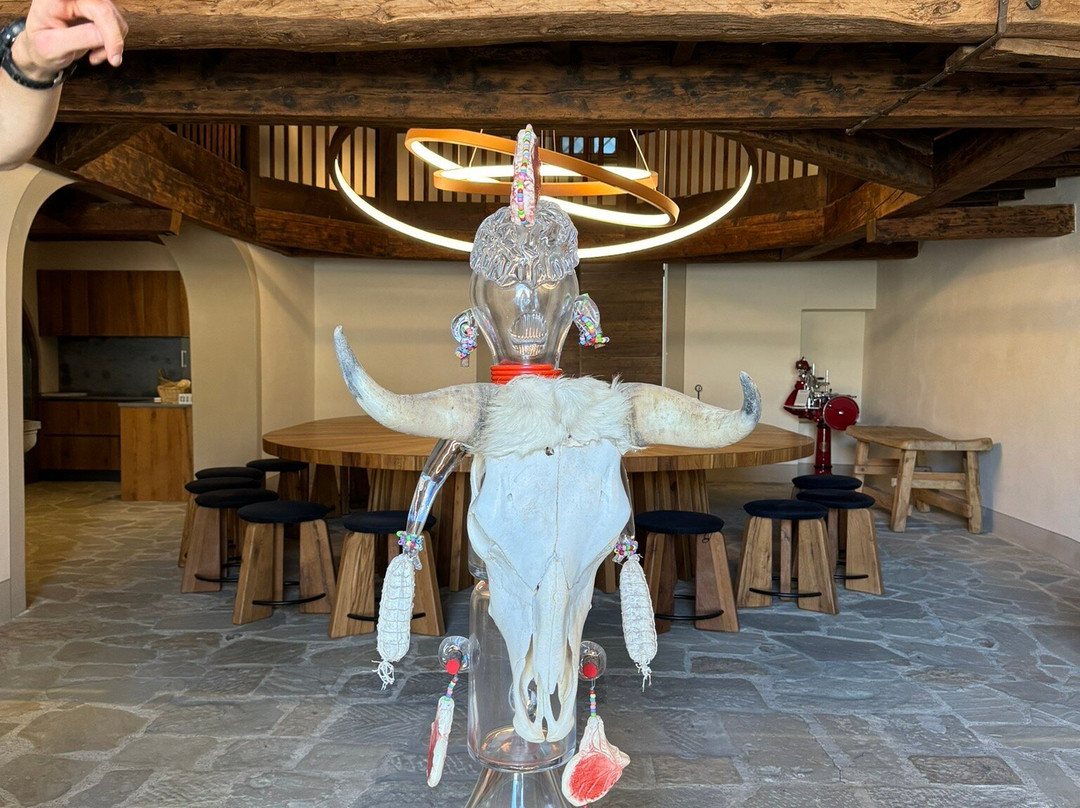 Tenuta Casenuove Winery景点图片