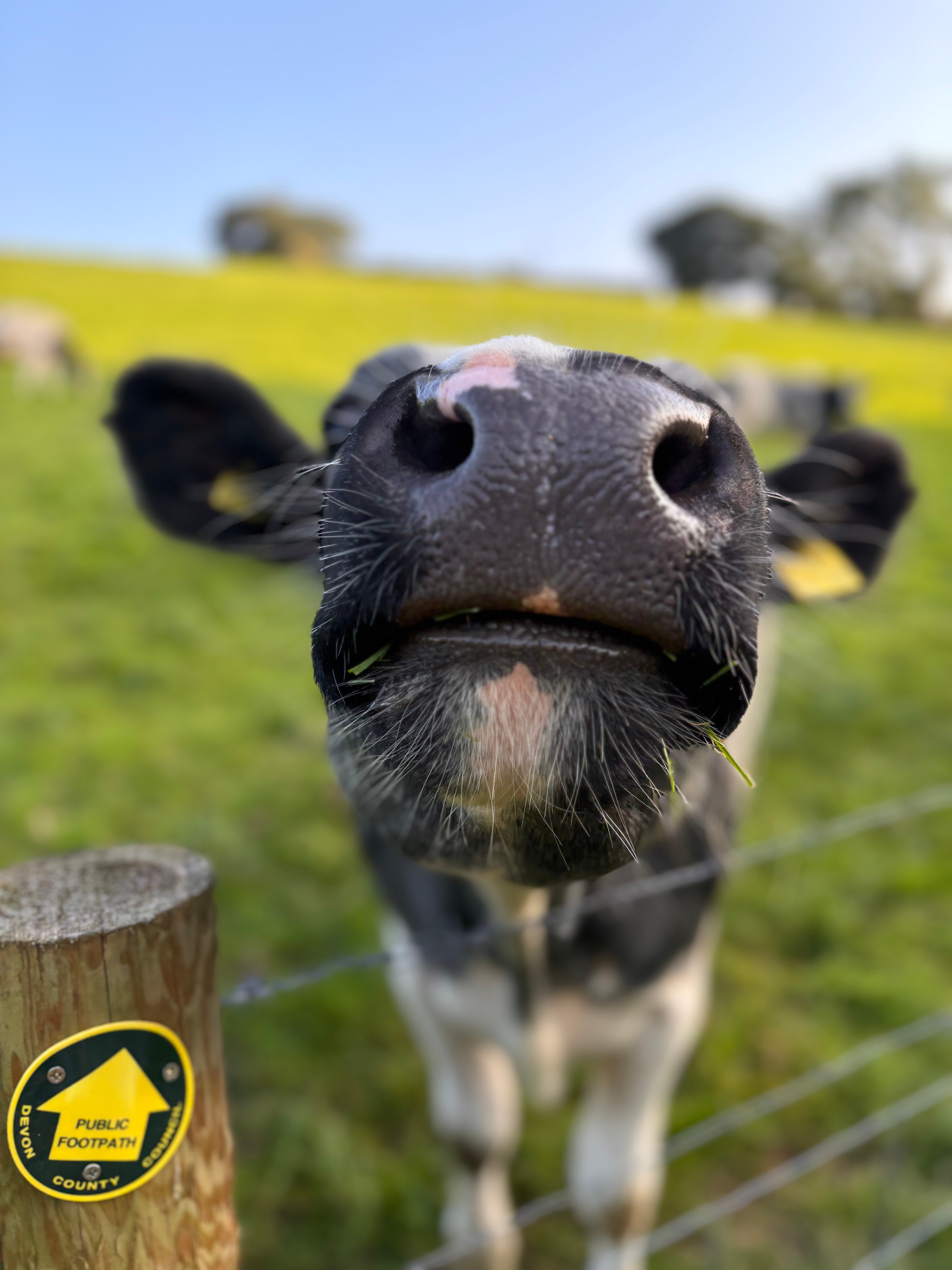 Coombe Farm Goodleigh-浴室