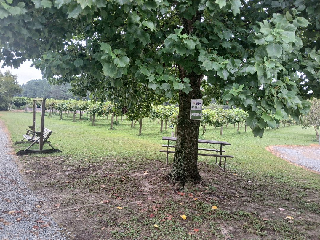 A Secret Garden Winery-Pikeville必去景点