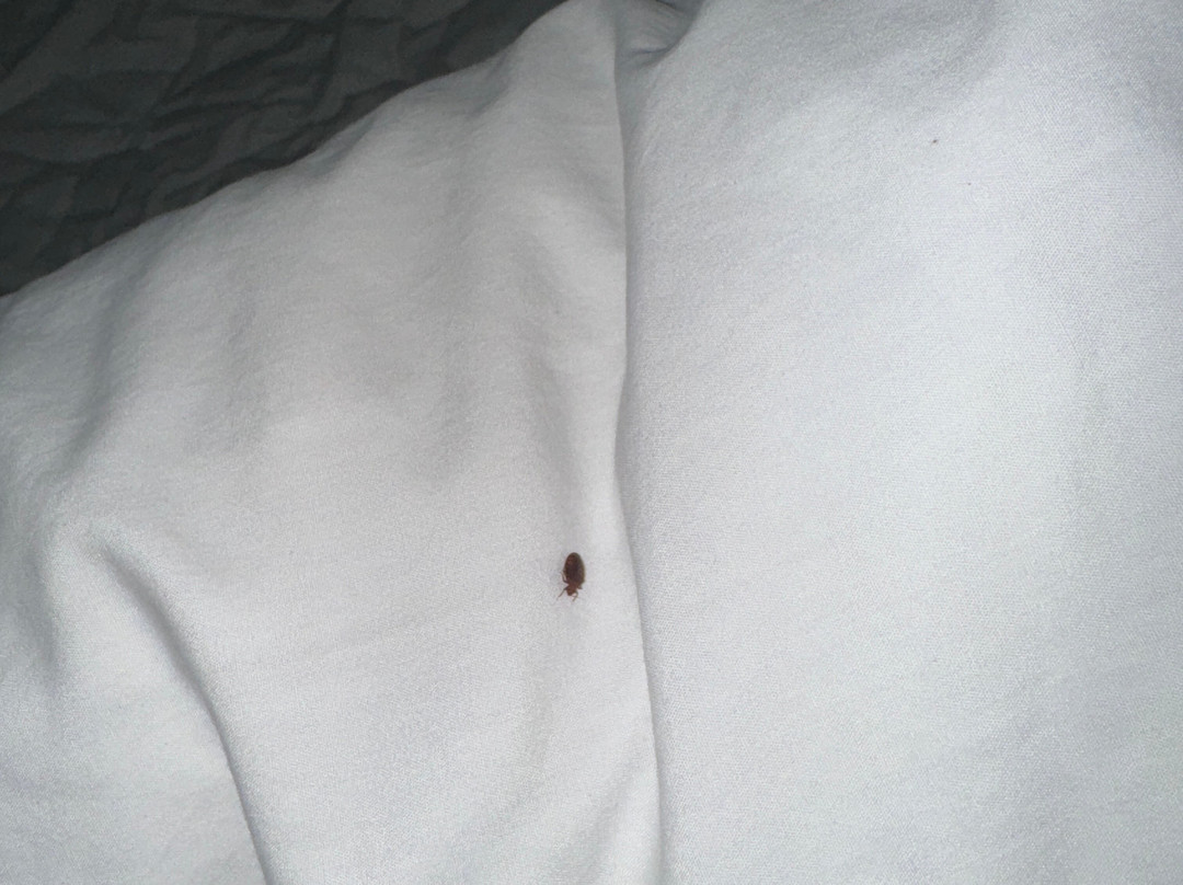 Americinn by Wyndham Maquoketa主图