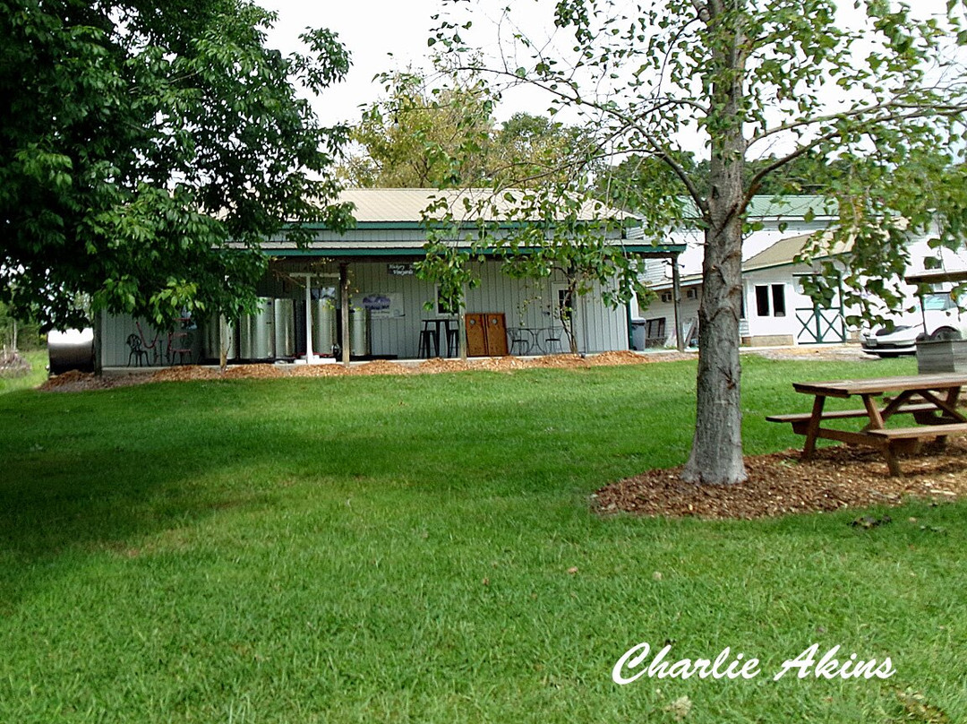 Hickory Hill Vineyards景点图片