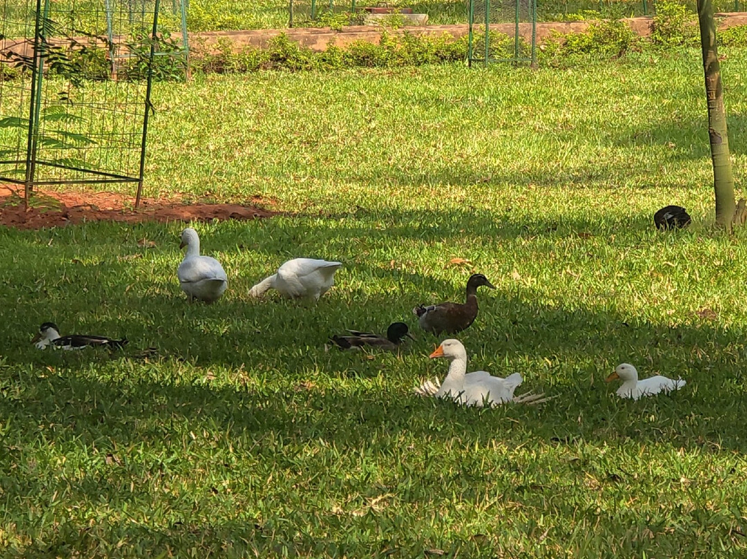 Kigoma Hilltop Hotel主图