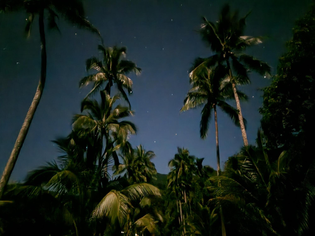 Cape Trib Farm B&B主图