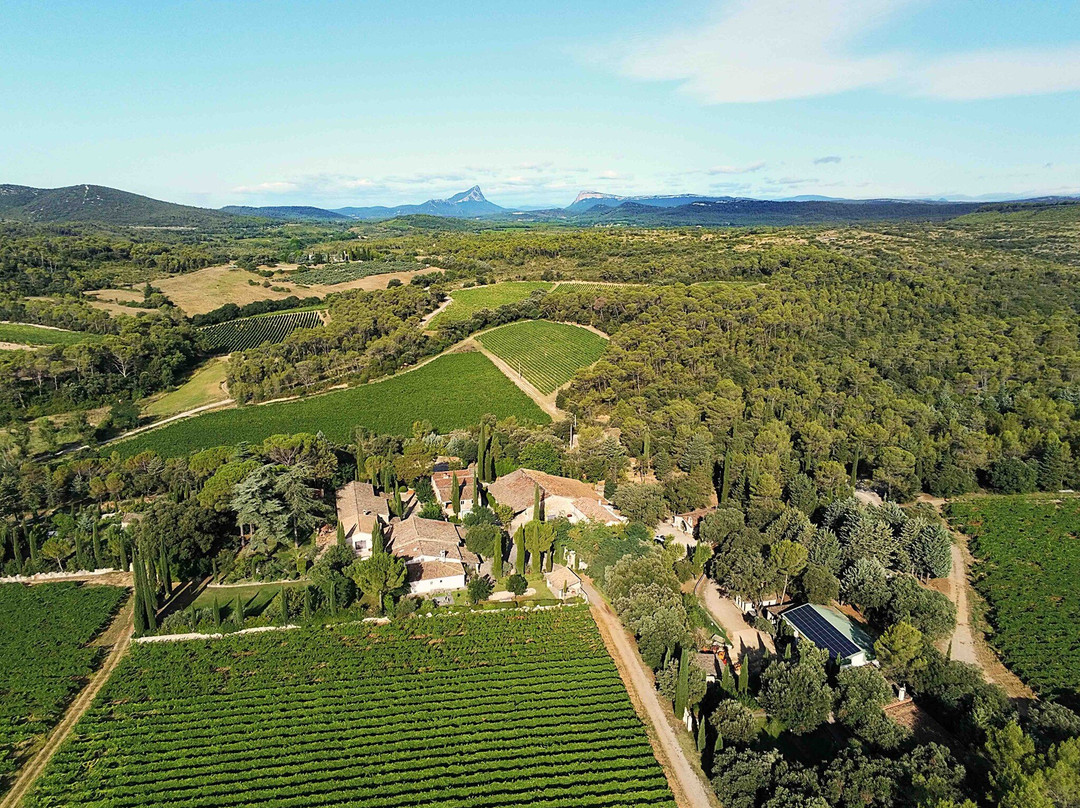 Domaine Mas De Martin景点图片