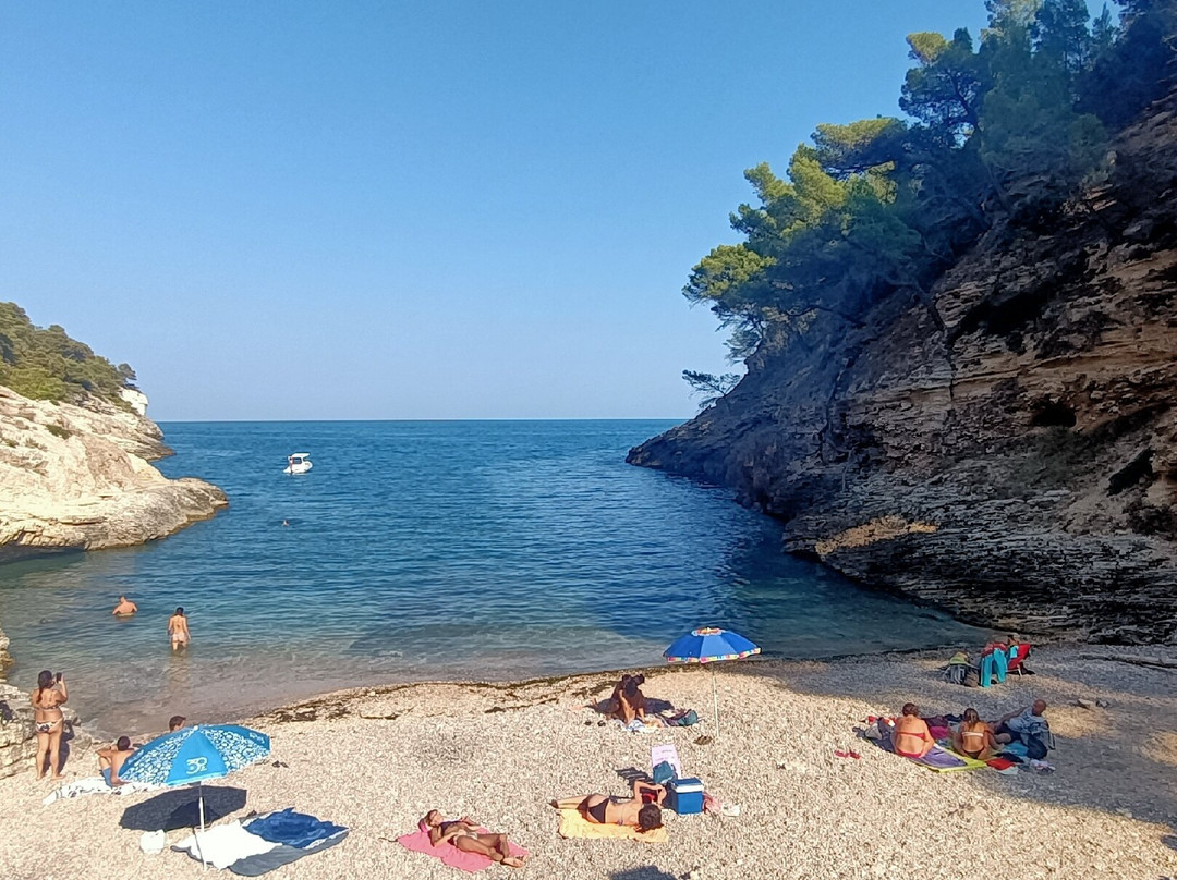 Cala della Pergola-维耶斯泰必去景点
