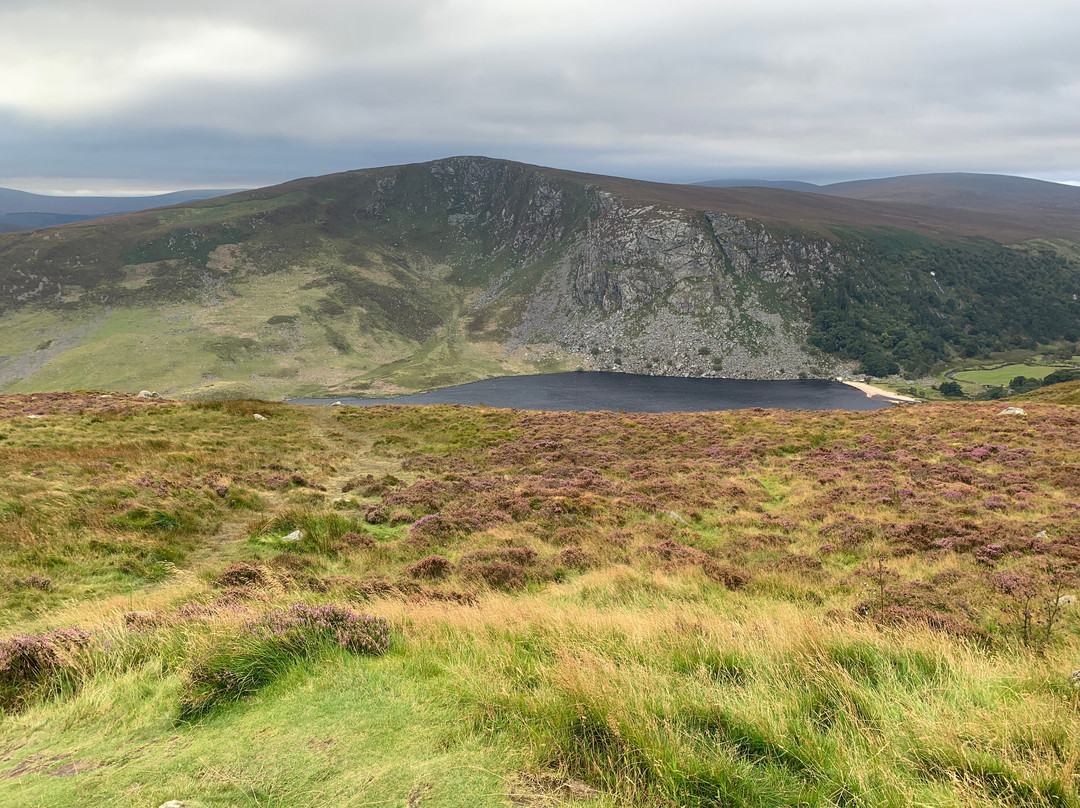 Sally Gap-Wicklow必去景点
