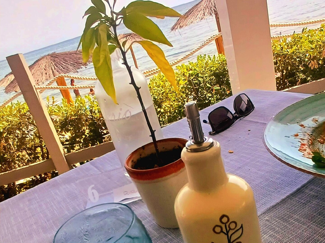 Krio Gelsomare主图