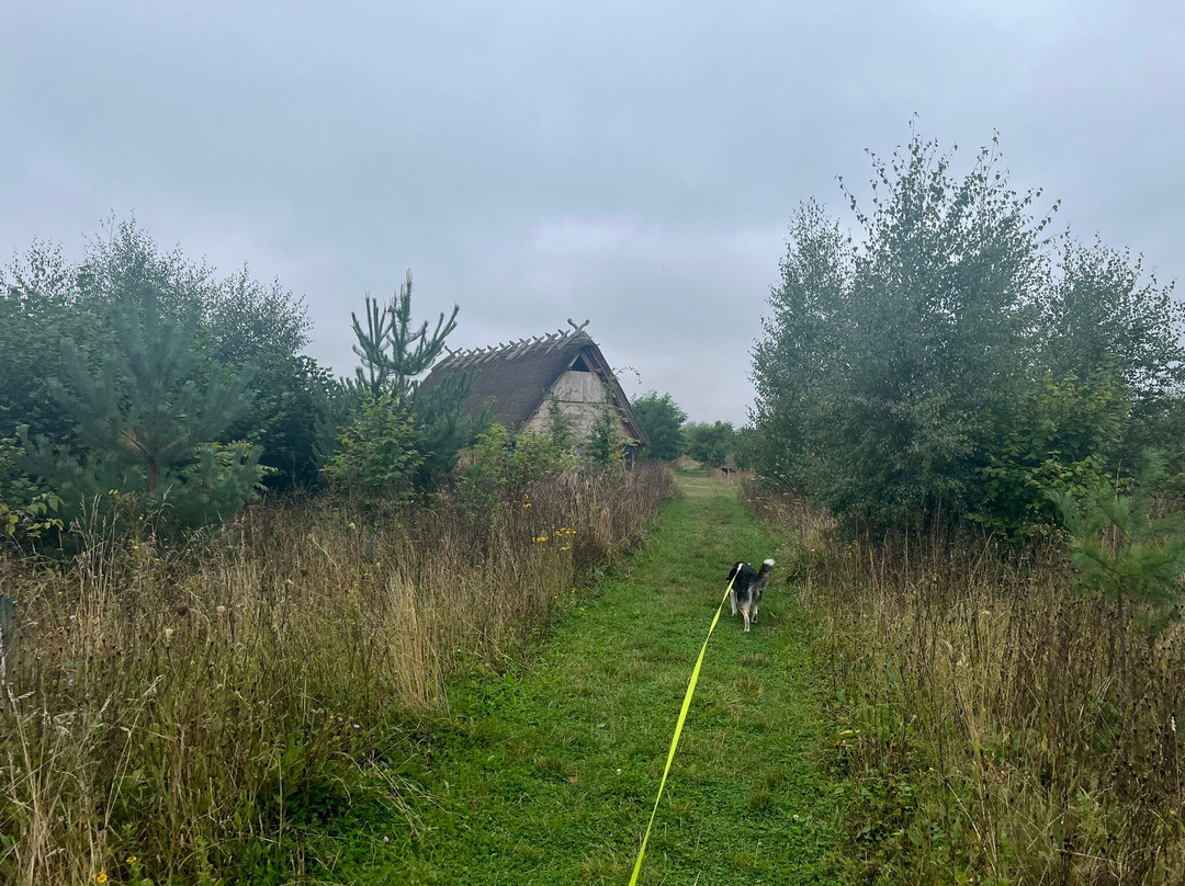 Little Wittenham Nature Reserve景点图片