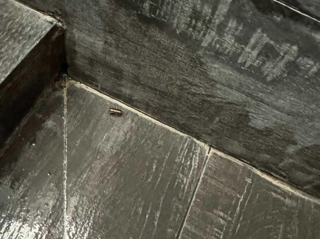 Morra's Home B&B主图