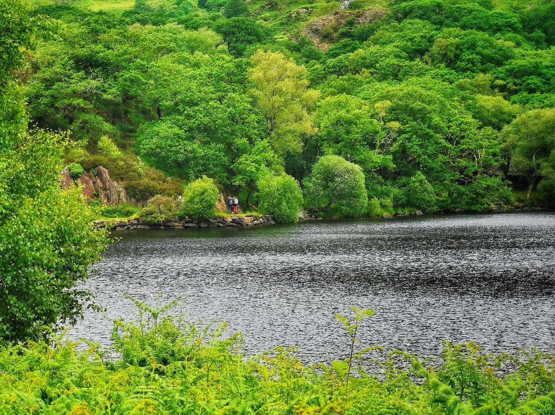 Llyn Dinas景点图片