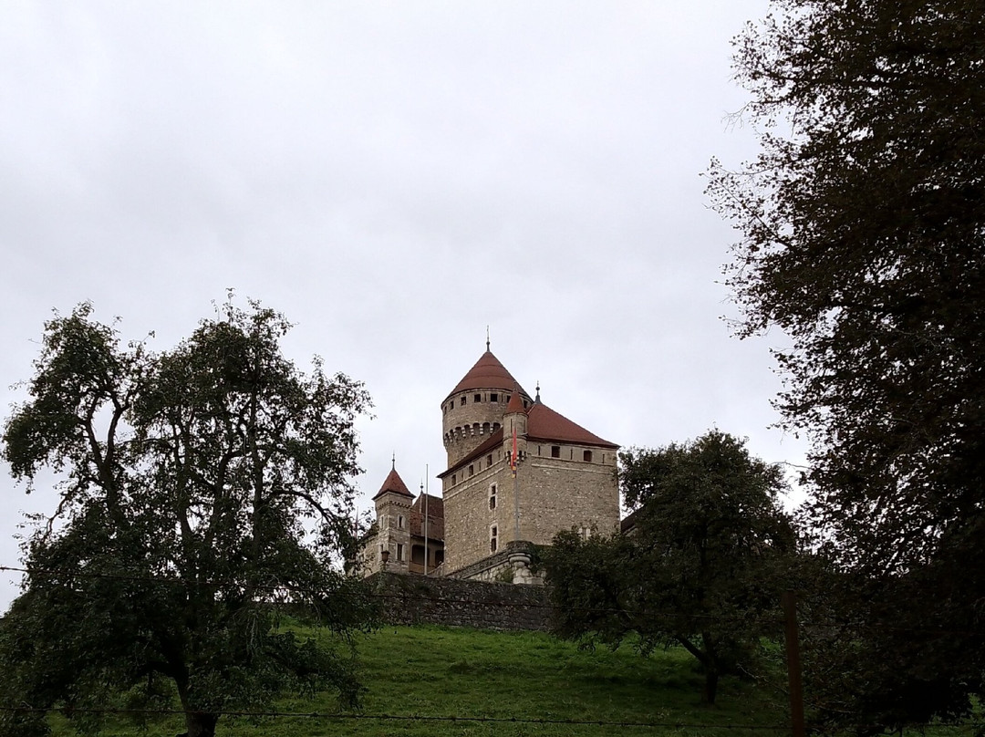 Chateau de Montrottier景点图片