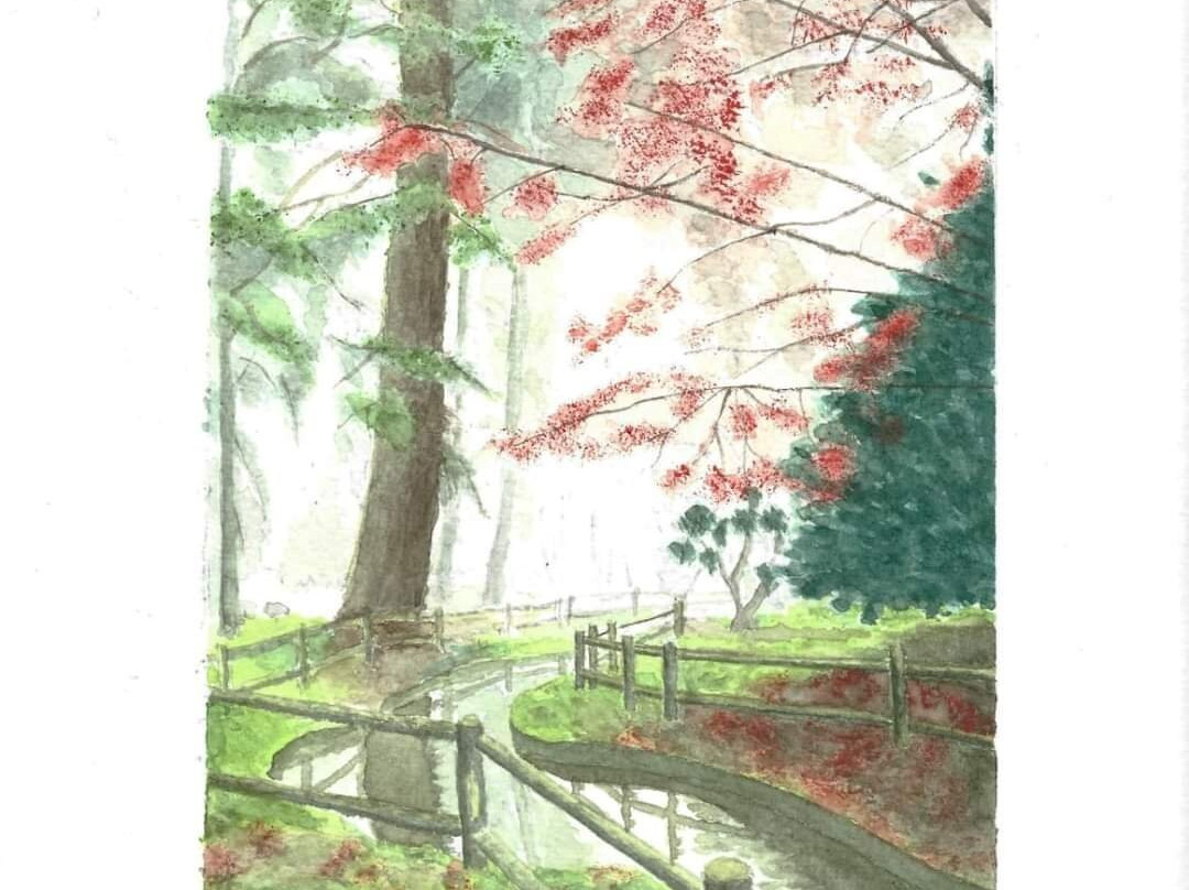 Parco di Villa Braila