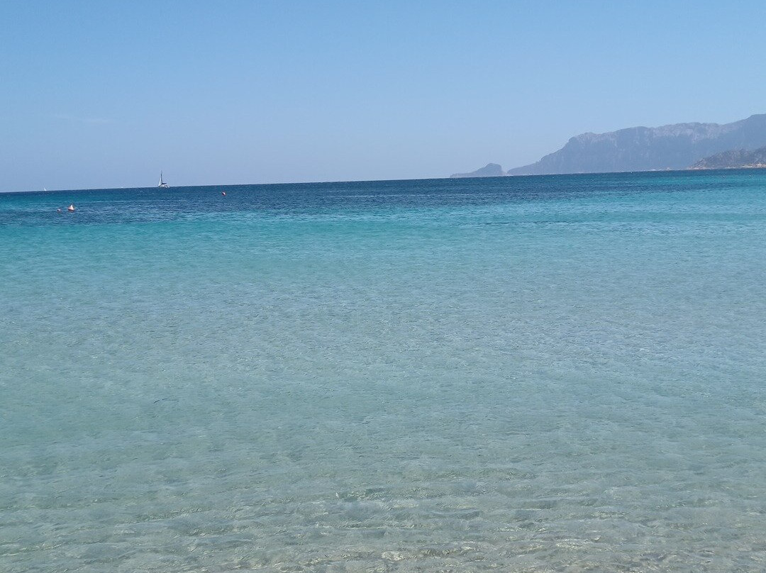 Costa Corallina Beach-奥尔比亚必去景点