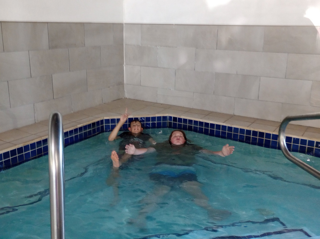 Best Western Plus Flint Airport Inn & Suites主图