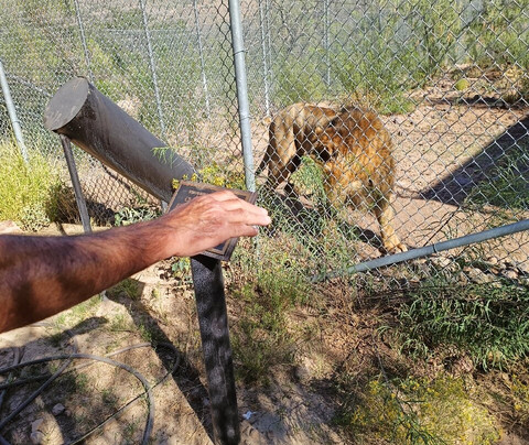 Keepers Of The Wild Nature Park & Wildlife Sanctuary-Valentine必去景点