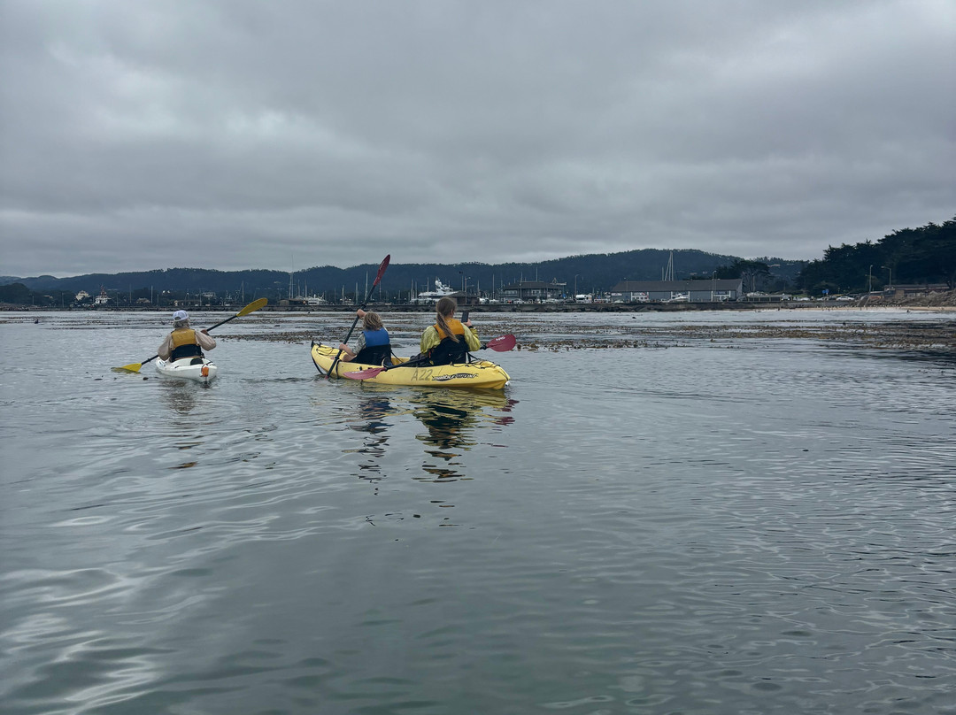 Adventures by the Sea-蒙特雷必去景点