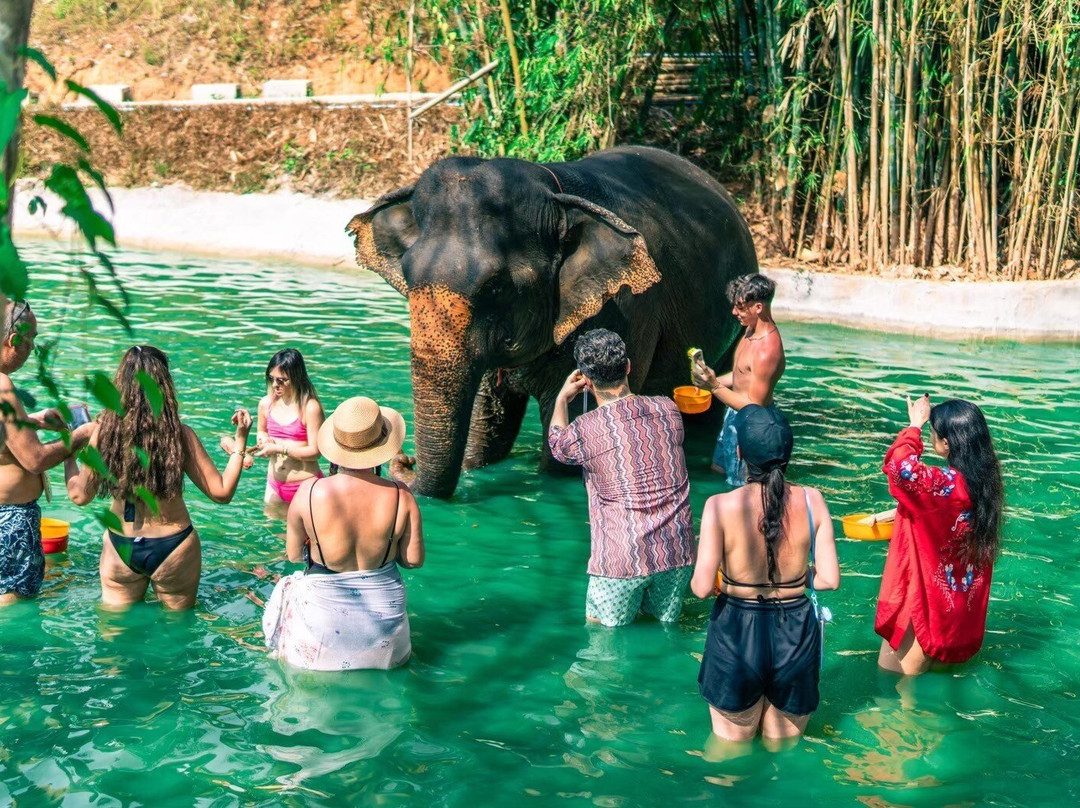 Taxi And Boat Tour By Aom-芭东海滩必去景点