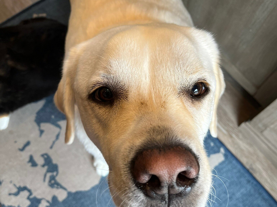 The Tern Inn Bed & Breakfast主图