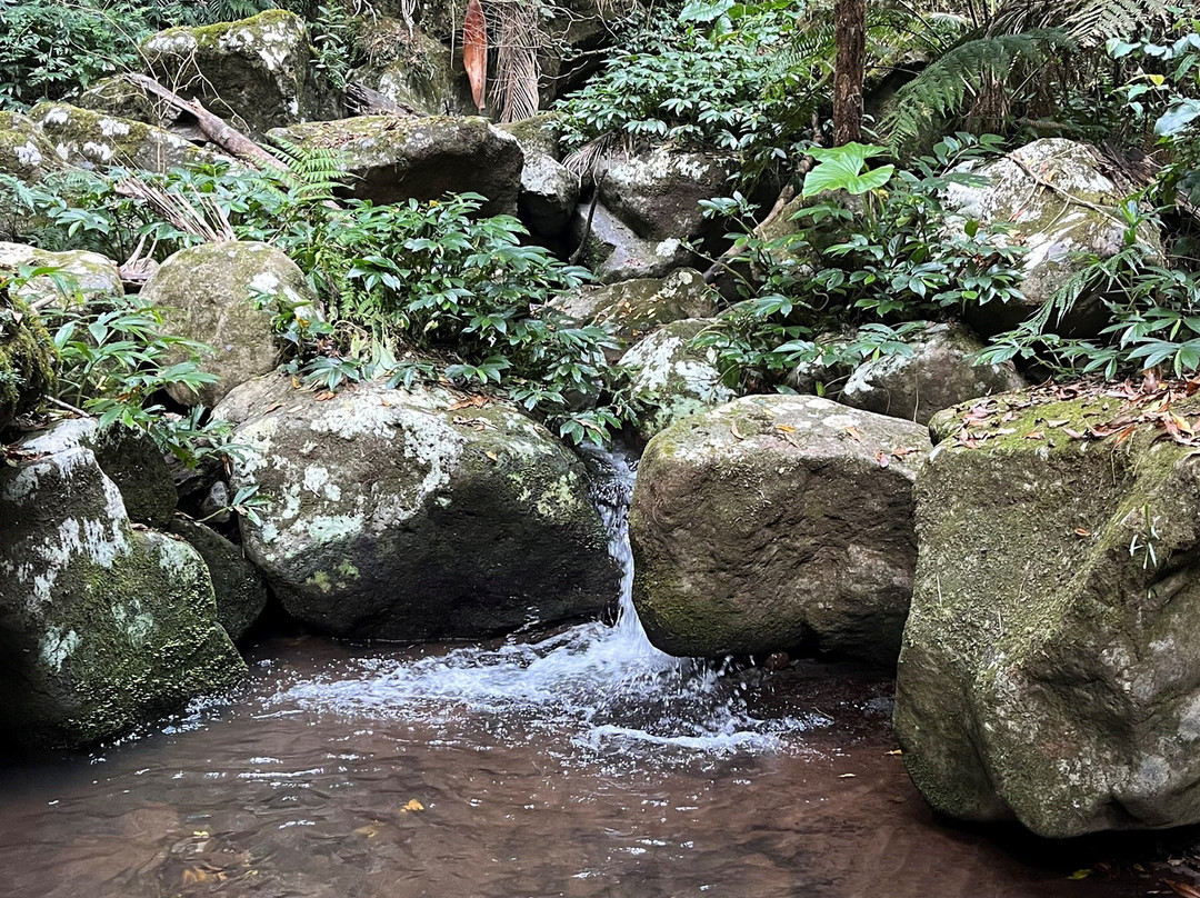 Scenic Rim Trail景点图片