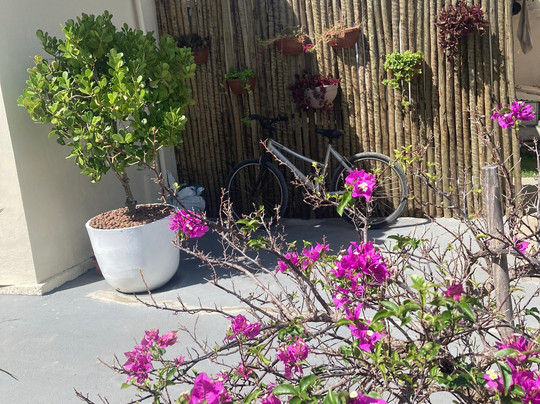 Pousada Refúgio dos Milagres Suítes & Bistro主图