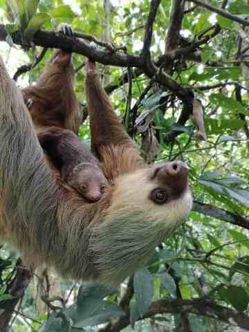 Guanacaste Adventure & Travel景点图片