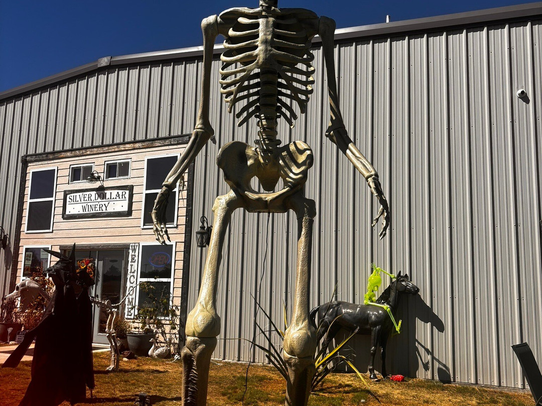 Silver Dollar Winery Hill Country-Johnson City必去景点