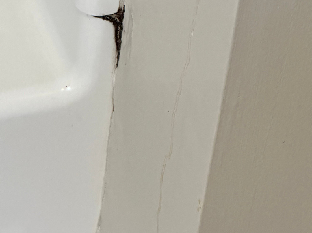 Sea Mist Resort主图