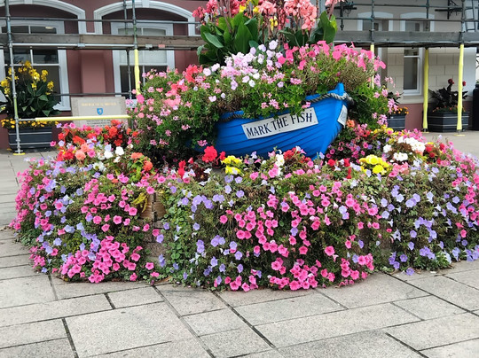Waverley Coach Tours-St. Helier必去景点