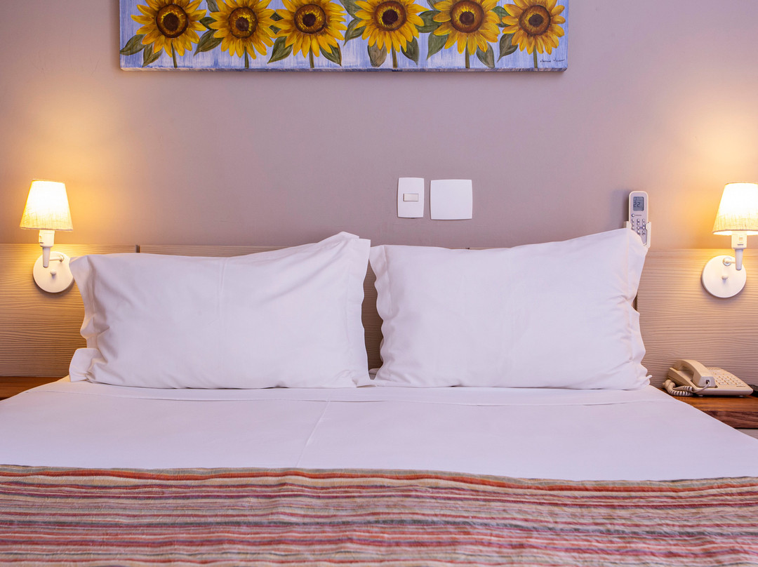 Ciribaí Praia Hotel主图