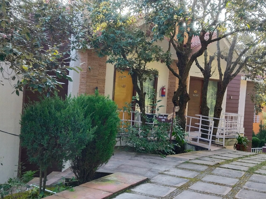 Essence of Nature主图