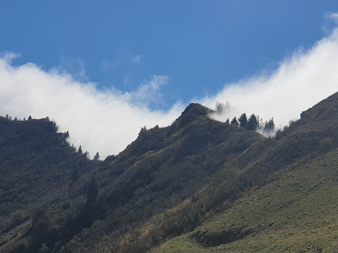 Praz de Lys Sommand景点图片
